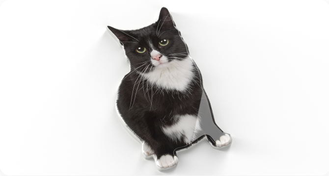 cat-1