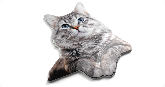 cat-2