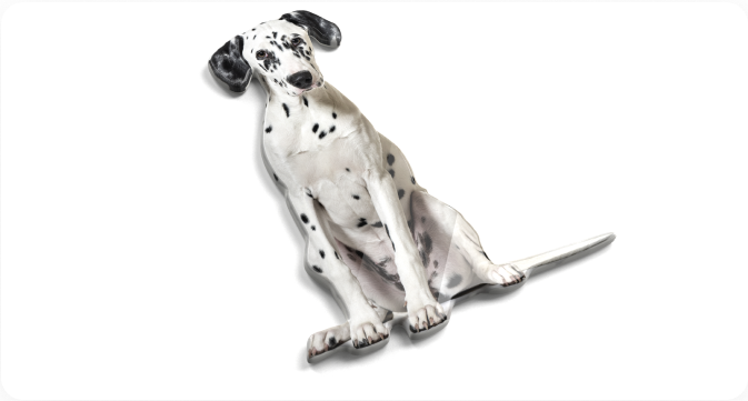 dog-2
